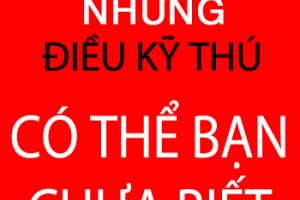 Những điều cần biết trước khi mua máy Photocopy?